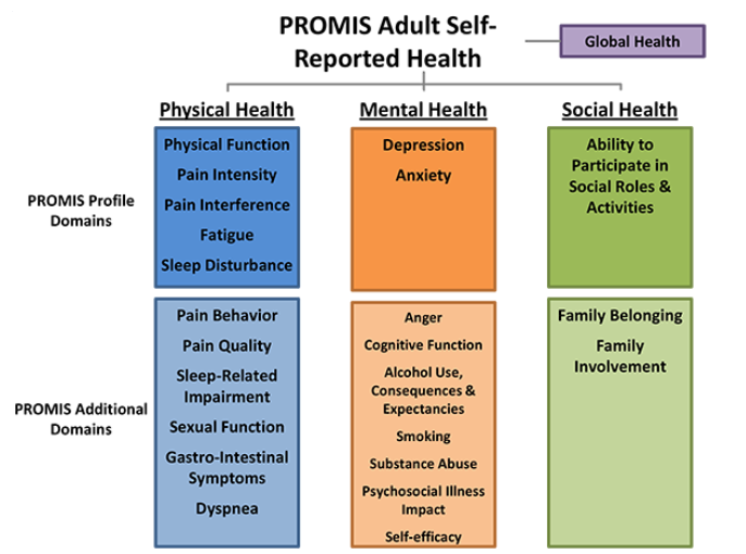 Examples of Standardized PROMIS Physical Health Questions for Adults 2