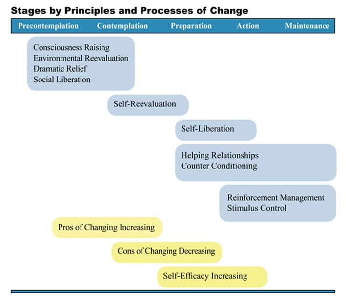 Stages-by-Principles-and-Processes-of-Change